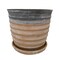 Sylvan Ceramic Planter with Attached Saucer - Honey - 5.5" x 5.5"